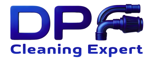 Expert DPF cleaning